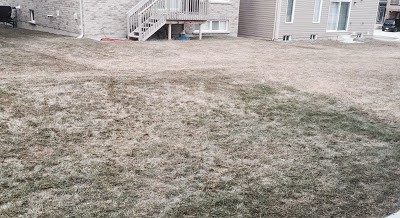 Winter Fertilizer Advantage in Lawn Care in Binbrook Ontario